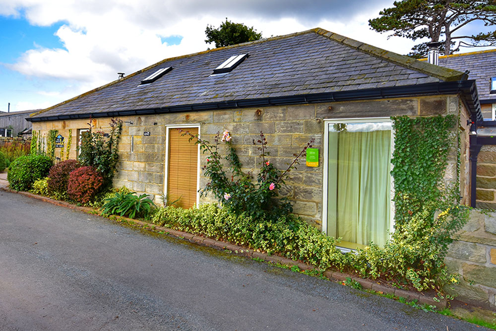 Catkin Cottage Exterior